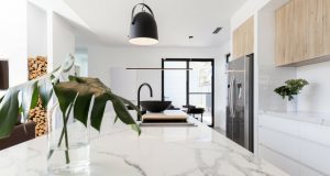 Pros and cons of marble countertops